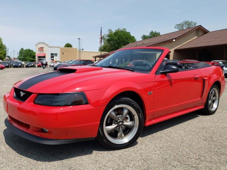 Photo for 2003 Ford Mustang